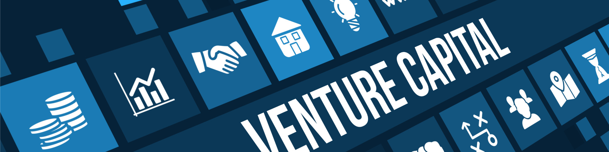 Venture Capital Investment - Beyond the Basics - Live at Your Desk