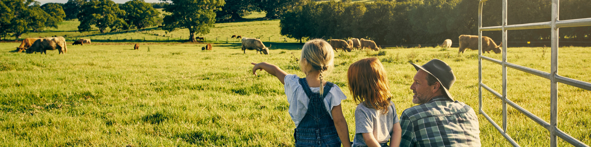 Divorce & The Family Farm - The Essential Tips
