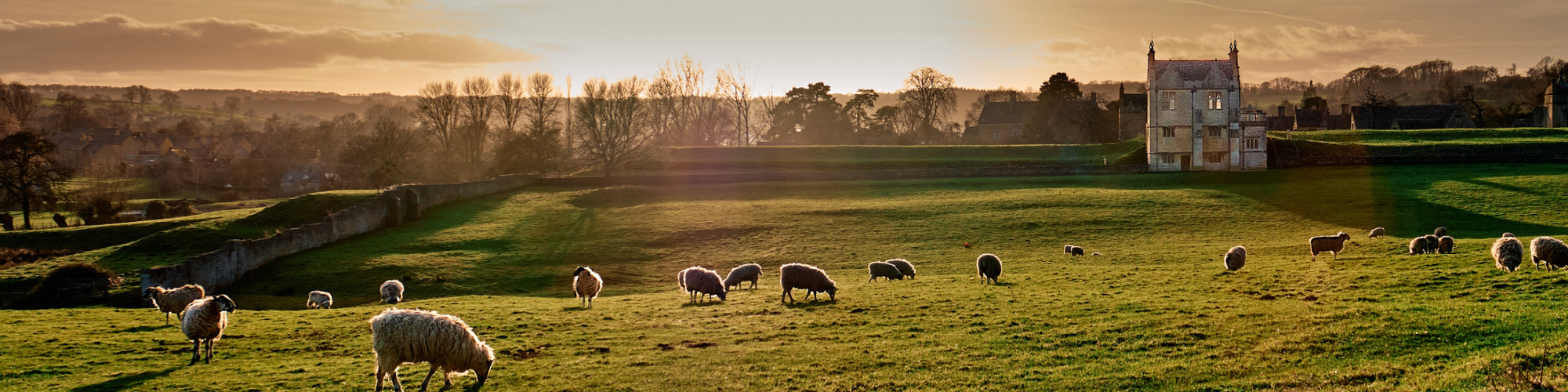 Grazing Licences - A Practical Guide for Agricultural Advisers