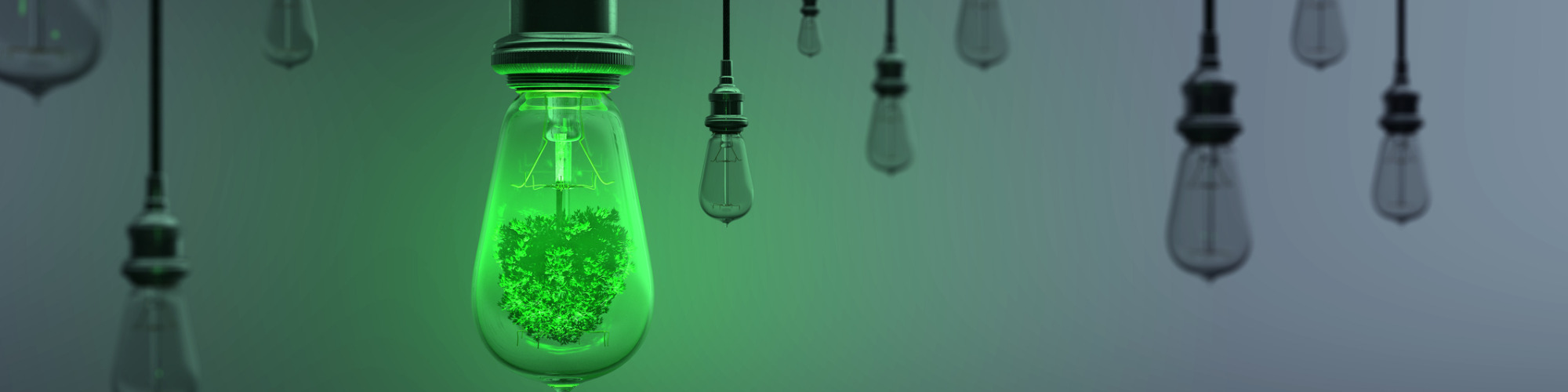 IP & Climate Change - How to Protect Green Innovations
