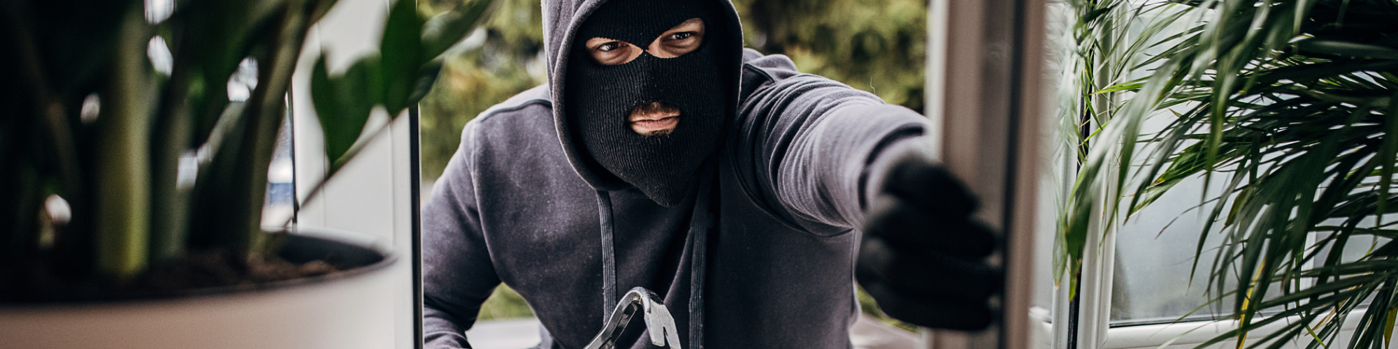 Theft & Burglary - Sharpen Your Knowledge 