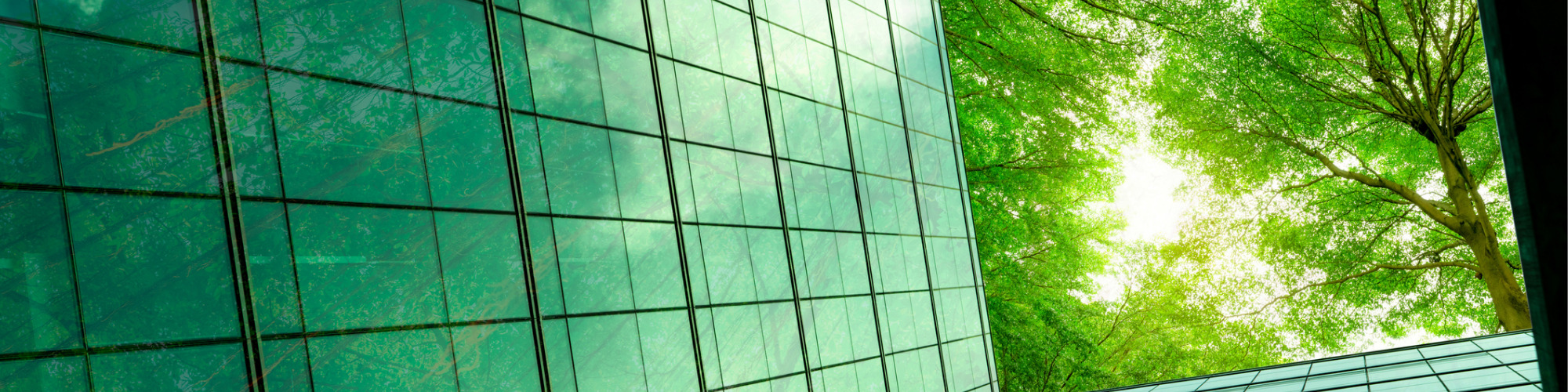 The Corporate Sustainability Reporting Directive (CSRD) - Keep Up with the Latest Requirements