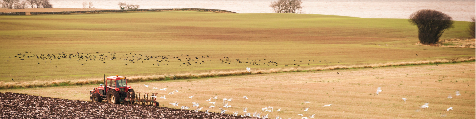 An Introduction to Agricultural Tenancies in Scotland
