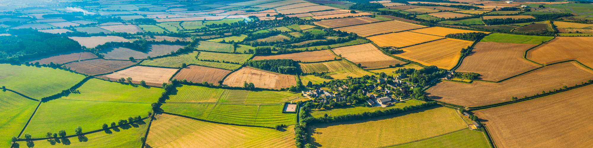 UK Agricultural Policy - What’s New?