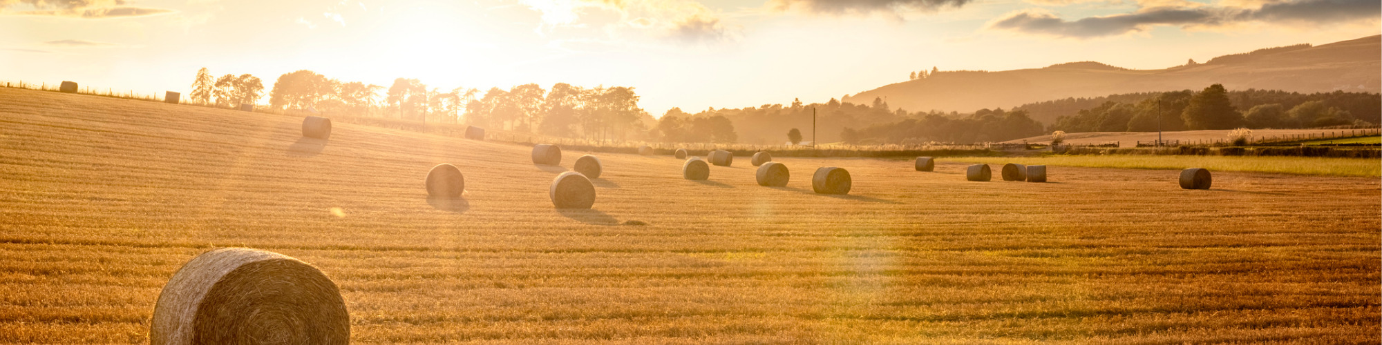 The Agricultural Holdings Act - Key Considerations for Advisers