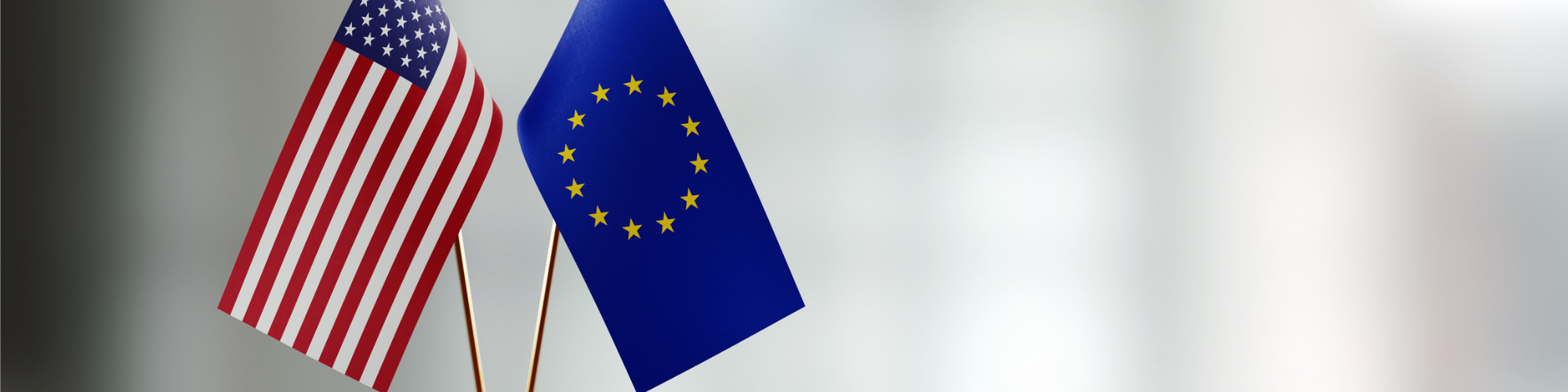 EU-US Data Privacy Framework - The Opportunities & Limitations
