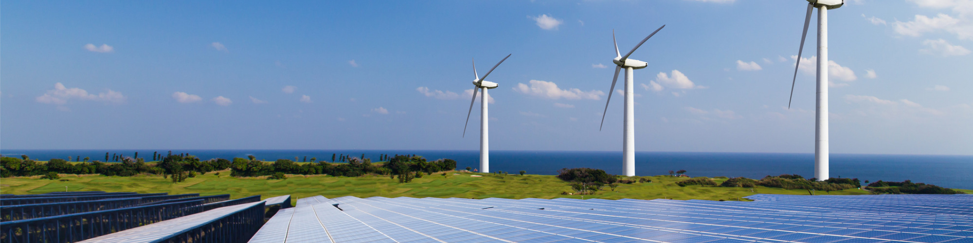 Option to Lease Agreements for Renewable Projects - For Landowners in Scotland