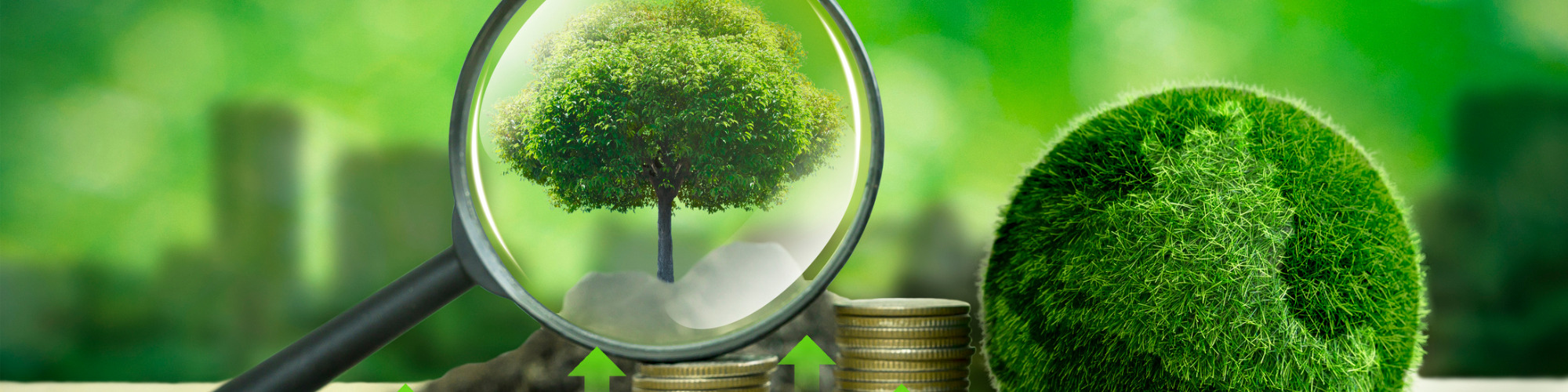 An Introduction to ESG & Taxation for Accountants