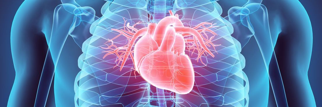 Cardiac Anatomy & Clinical Negligence Litigation - Understanding the Evidence
