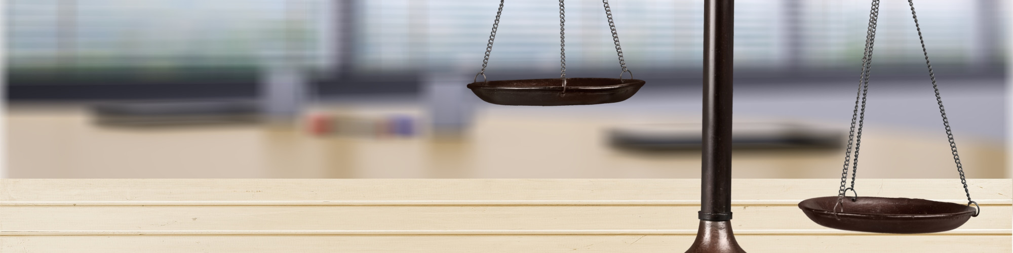 Civil Litigation Disclosure - 2024 Update 